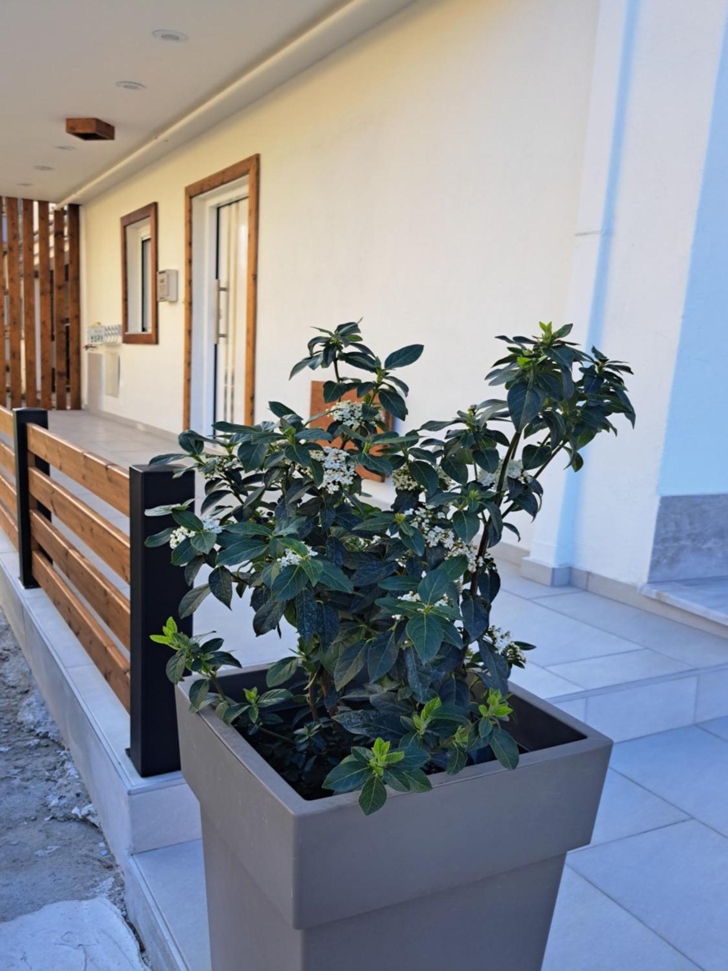 Ithaca Σπίτι Με Αυτόνομη Είσοδο Leilighet Thessaloníki Eksteriør bilde